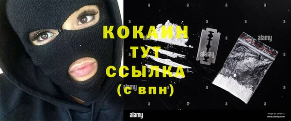 винт Абаза