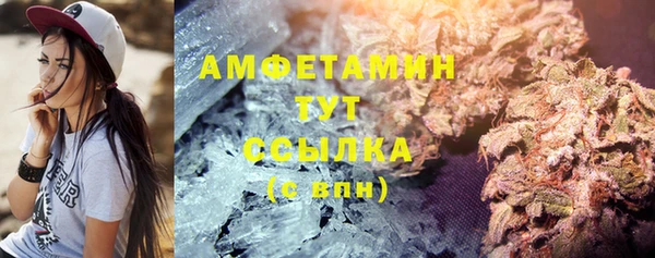 винт Абаза