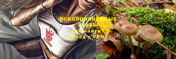 спиды Алексин